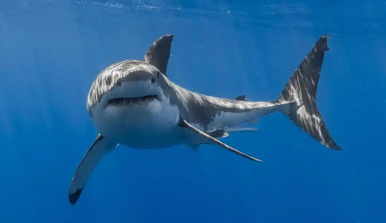 福州欣景园环境设备有限公司轮播图3